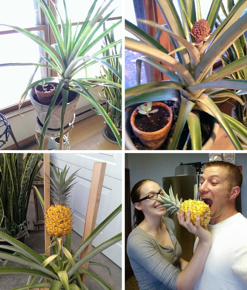 Foto before after kreativitas netizen