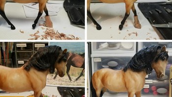 Memperbaiki kaki miniatur kuda. Foto: Boredpanda