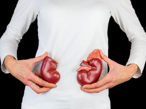 IDAI Investigasi Lonjakan Kasus Gagal Ginjal Akut Pada Anak