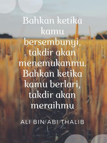 Kata-kata Ali bin Abi Thalib