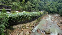 Salah satu bangunan dengan arsitektur yang berusaha bersahabat dengan alam, menyesuaikan elevasi dan mempertahankan keragaman vegetasi di Bogor, Jawa Barat, Minggu (5/2/2022). Memuliakan alam bisa dimulai dengan pembangunan yang mendahulukan kelestarian lingkungan di atas kepentingan ekonomi. (Ari Saputra/detikcom)