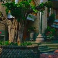 Berdiri di atas lahan 1,5 hektare, rumah ini memiliki banyak area hijau yang asri. Di depan rumah utama, terdapat empat pohon besar berbentuk bonsai. (Foto: YouTube/Gus Tran)