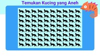 Mungkin sekilas tidak ada yang aneh, tapi ada satu kucing yang berbeda lho.