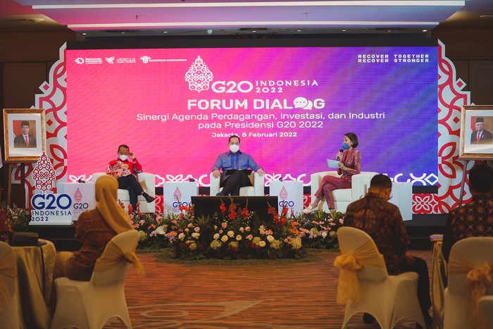 TIIWG G20