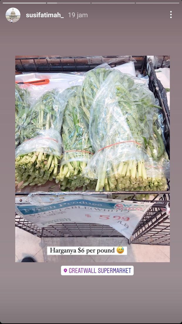 Wanita Indonesia Ini Tunjukkan Harga Kangkung di Amerika  Rp 136 Ribu