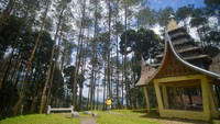 Selain dapat menikmati panorama alam, objek wisata Puncak Pato merupakan lokasi bersejarah tempat pengambilan Sumpah Satiah Bukit Marapalam yang menghasilkan kesepakatan antara kaum adat dan kaum agama di Minangkabau.