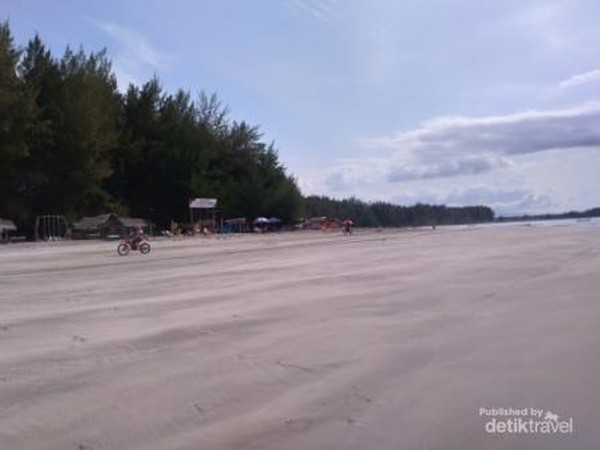 Pantai yang landai dengan deretan cemara