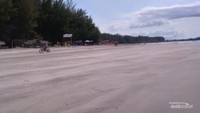 Pantai yang landai dengan deretan cemara