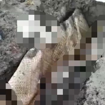 Aksi pencurian tali pocong terjadi di Sidoarjo. Kuburan seorang wanita yang meninggal pada malam Jumat Legi (3/2) dibongkar, dan tali pocongnya dicuri.