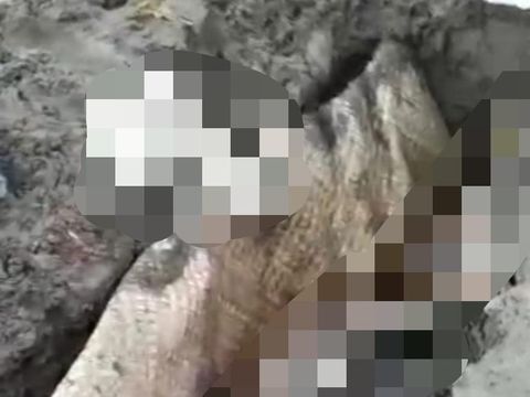 Aksi pencurian tali pocong terjadi di Sidoarjo. Kuburan seorang wanita yang meninggal pada malam Jumat Legi (3/2) dibongkar, dan tali pocongnya dicuri.