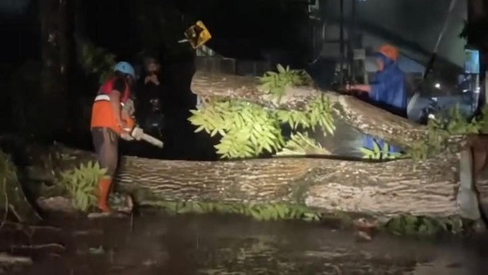 Pohon tumbang di Kabupaten Sukabumi.