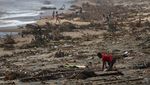 Potret Madagaskar Porak Poranda Dihantam Topan Batsirai
