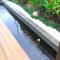 Terdapat kolam ikan koi yang menambah suasana zen di taman tersebut. (Foto: YouTube/Taulany TV)