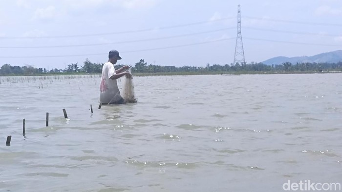 Sawah di Kecamatan Brati jadi spot mancing baru di Grobogan
