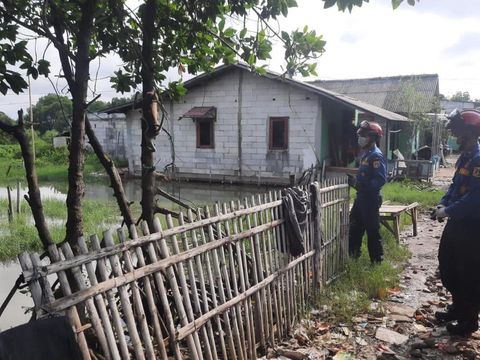 Seekor monyet yang merasahkan warga Cilincing, Jakut dievakuasi  petugas pemadam kebakaran (damkar) (Instagram @humasjakfire)