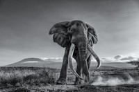 Sony Word Photography Awards 2022