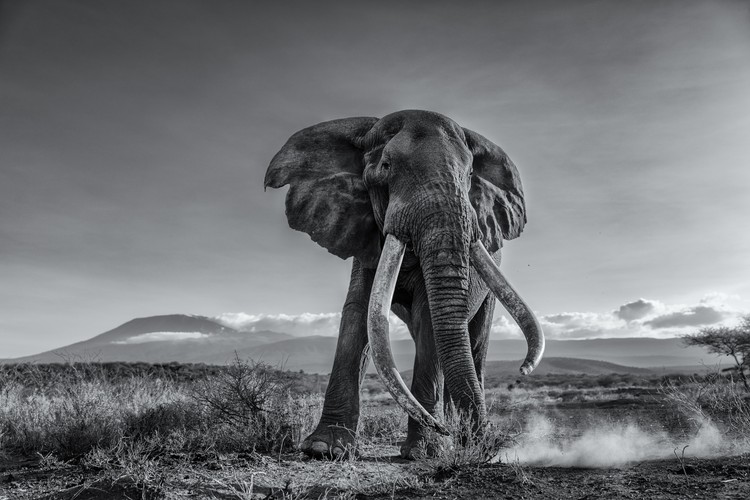 Sony Word Photography Awards 2022