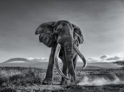 Karya Memukau Jawara Konten Foto Sony 2022, Ada dari Indonesia