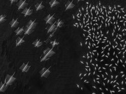 Karya Memukau Jawara Konten Foto Sony 2022, Ada dari Indonesia