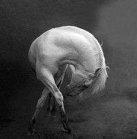 Sony Word Photography Awards 2022