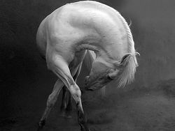 Karya Memukau Jawara Konten Foto Sony 2022, Ada dari Indonesia