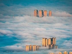 Karya Memukau Jawara Konten Foto Sony 2022, Ada dari Indonesia