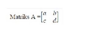 Determinan matriks