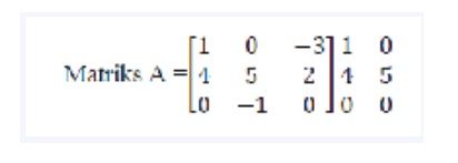 Determinan matriks