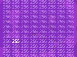 Uji Kecepatan Mata dan Pikiran Kamu, Temukan Objek Tersembunyi!