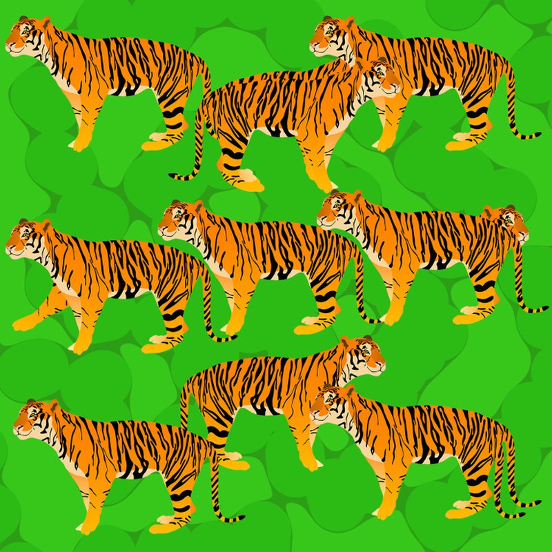 fotoinet temukan objek tersembunyi