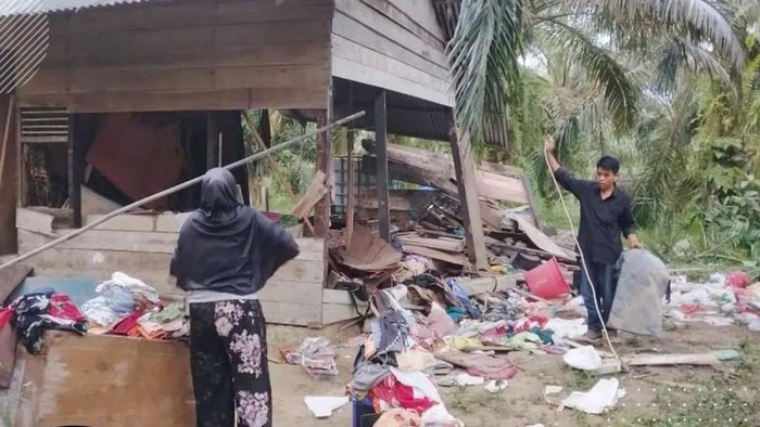 Gajah Liar Masuk Pemukiman Warga di Pekanbaru (Dok BBKSDA Riau)
