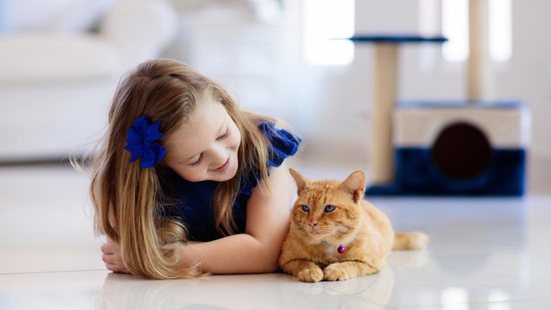 Ilustrasi anak dengan hewan peliharaan kucing