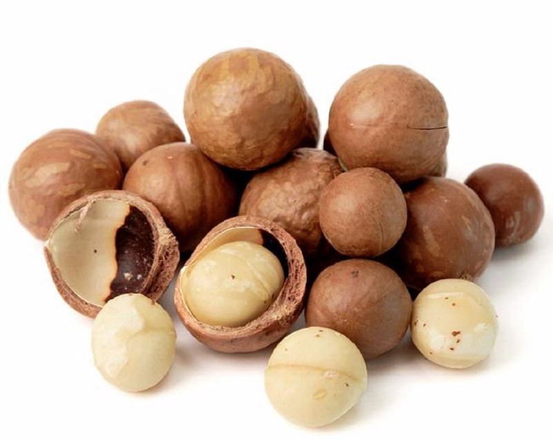 Ini Alasan Kacang Macadamia Harganya Termahal di Dunia