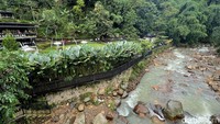 Tempat instagramable ini tidak terlalu jauh dari pusat kota Bogor yakni berjarak kurang lebih 33 km ke arah barat daya. Banyak pesepeda gowes ke sini  dengan menghabiskan waktu tempuh sekitar 2 jam dari pusat kota Bogor.