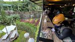 Sungai, Sawah, Perbukitan, dan Hangatnya Secangkir Kopi di Sini
