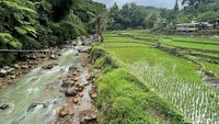 Suasana persawahan yang bersisian dengan Sungai Cikuluwung, di seberang Kopi Tubing. Elevasi dan vegetasi masih terjaga membuat suasana sangat nyaman untuk berakhir pekan.