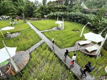 5 Kafe dengan Pemandangan Asri, Cocok Buat Healing di Bogor