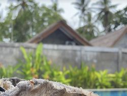 Rutinitas Pebalap MotoGP di Mandalika Bikin Netizen Terpukau