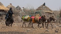 Antara tahun 2010 hingga 2012, sekitar 250 ribu orang meninggal karena kelaparan di Somalia, setengah dari mereka adalah anak-anak.  