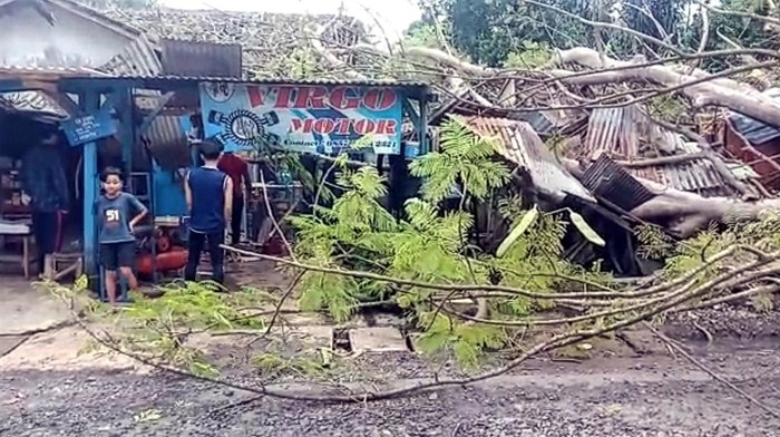 Pohon tumbang di Sukabumi.