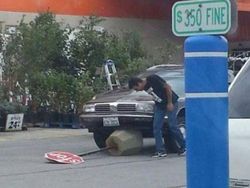 Apes Banget! Saat Keberuntungan Tak Berpihak Pada Orang-orang Ini