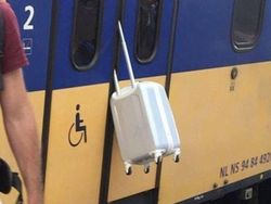 Apes Banget! Saat Keberuntungan Tak Berpihak Pada Orang-orang Ini