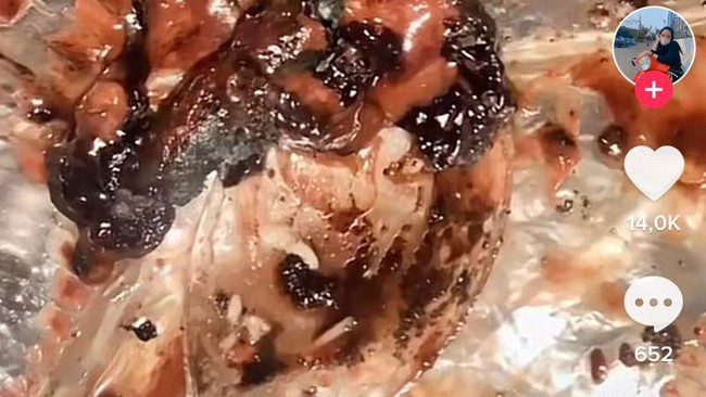 Bikin Trauma! 5 Penampakan Kecoa yang Eksis di Dalam Makanan Bikin Trauma! 5 Penampakan Kecoa yang Eksis di Dalam Makanan