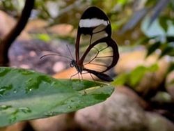 Deretan Foto Ini Sulit Dipercaya Bukan Hasil Editan Photoshop