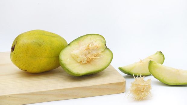 Ilustrasi buah kedondong Ilustrasi buah kedondong