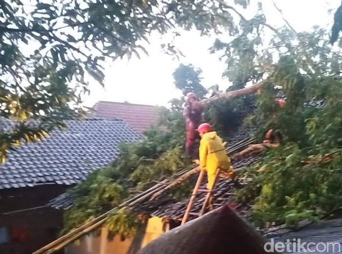 dampak hujan deras disertai angin, Jumat (11/2/2022) sore.