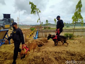 Polisi Kerahkan 4 Anjing Bubarkan Warga di Area Sirkuit Mandalika