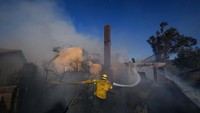Sedikitnya dua rumah ikut terbakar akibat kebakaran hutan ini.