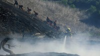 Mereka tampak berjalan di lahan yang hangus terbakar.