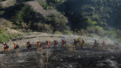 Potret Petugas Berjibaku Padamkan Kebakaran Hutan di California